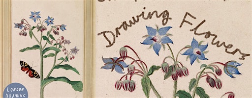 JACQUES LE MOYNE: Drawing Flowers