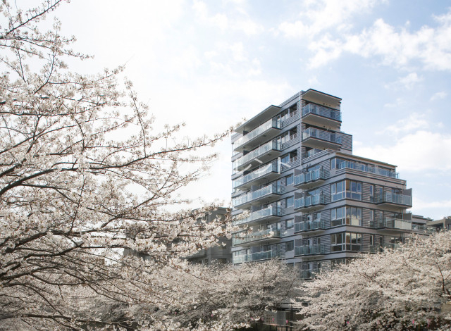 1LDK Mansion in Meguro, Tokyo - Image 1