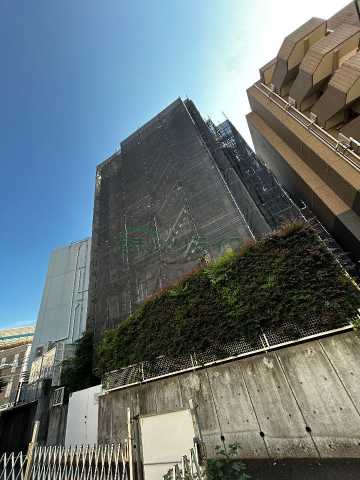 1LDK Mansion in Shibuya, Tokyo - Image 1