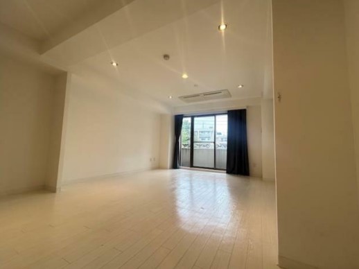 1SK Mansion in Minato, Tokyo — photo 3 of 3