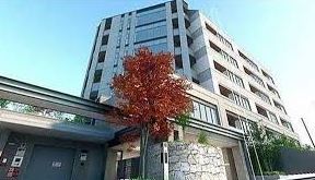 1SLDK Mansion in Minato, Tokyo - Image 1