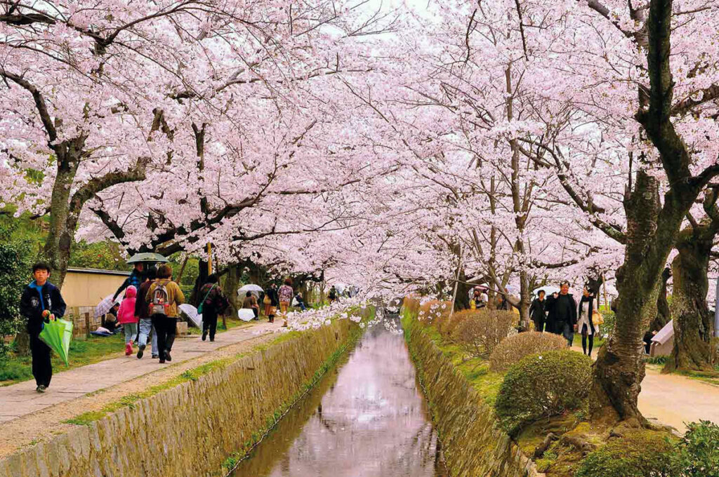 Nara Ancient Capital Tour — Deer Park & Great Buddha