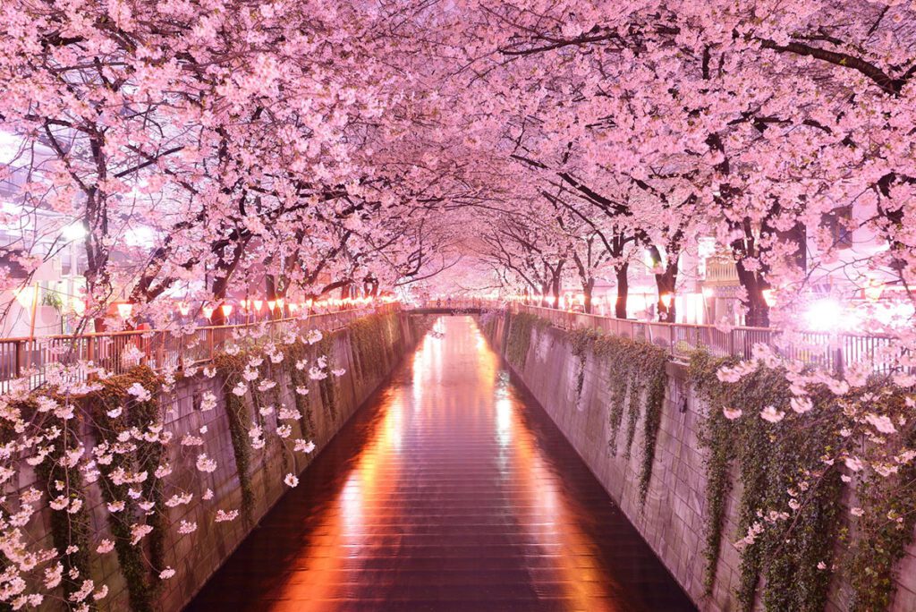 Top Photo Spots in Japan