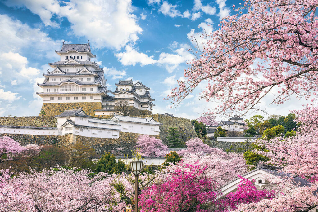 Cherry Blossom Guide: Best Sakura Spots in Japan